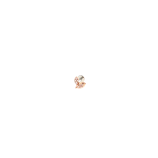 Blush Dusk Earrings