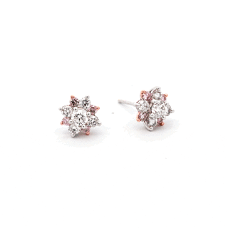 Blush Dusk Earrings
