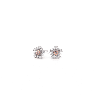 Blush Dusk Earrings